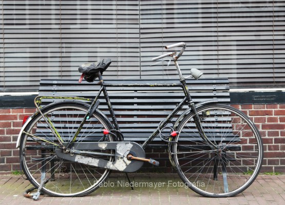 Amsterdam - Bicis