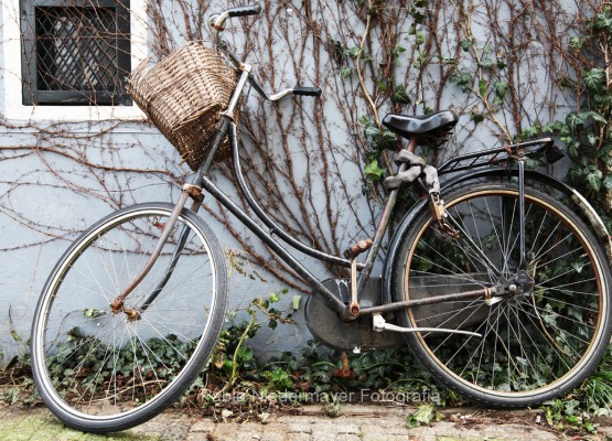 Amsterdam - Bicis