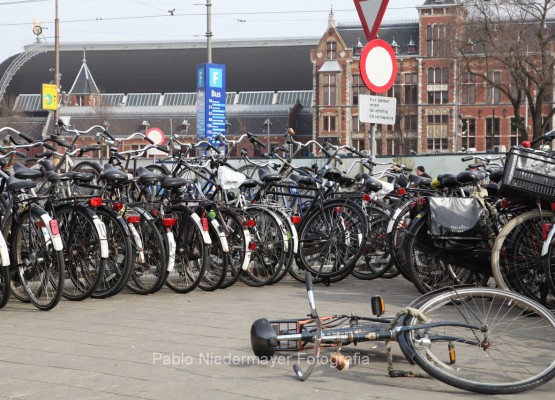 Amsterdam - Bicis