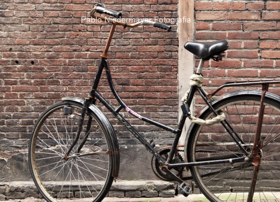Amsterdam - Bicis